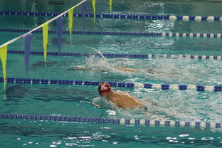 平博体育app-全国游泳冠军赛新星频出成绩突破预期,全国游泳冠军赛2021成绩 第3张